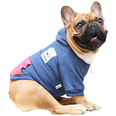 ICHOUE pug hoodie in navy shows warm, cozy comfort for small dogs.
