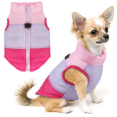 Idepet chaleco perro frontal patchwork rosa-rojo, mejora visibilidad y estilo en paseos.