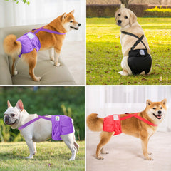 Idepet diaper has absorbent pad for containment and comfort.