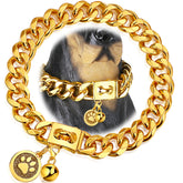 iDofas Gold Dog Chain Collar closeup highlights premium 18K plating and durable build.
