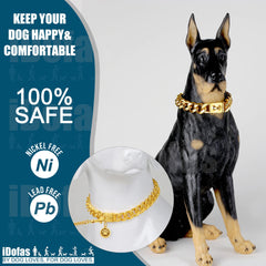 iDofas Gold Dog Chain Collar park-walk scene shows stylish daily wear and comfort.