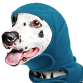 IDOMIK dog ear cover on a calm dog offering comfort during loud moments.