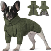 IDOMIK dog winter coat green front view provides snug warmth for walks.