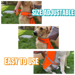IDOU two-piece reflective dog vest set ready for versatile safety use
