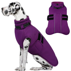 IECOii big dog winter coat adjustable-fit for secure, comfortable walks in cold weather
