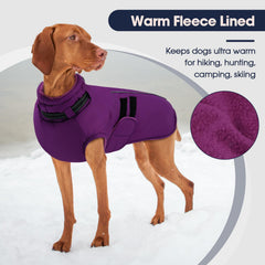 IECOii big dog winter coat waterproof-windproof fabric keeps your giant pup dry during snow days