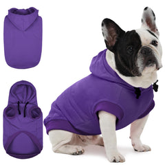 IECOii dog hoodie purple front view shows cozy, breathable fit for small breeds.