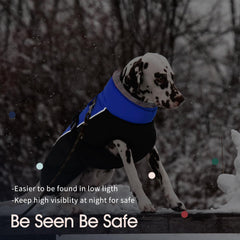 IECOii dog jacket waterproof fabric shields against rain and snow
