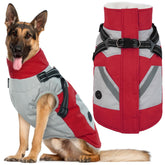 IECOii dog jacket XXXL front view with built-in harness for easy control during walks