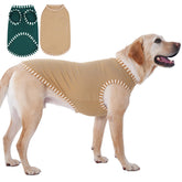 IECOii dog shirt on a large dog demonstrates sun protection for outdoor adventures