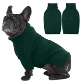 IECOii dog sweater green front view shows cozy knit warmth for medium dogs