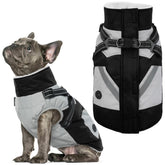 IECOii dog winter coat waterproof back view showing weather protection for snowy walks.