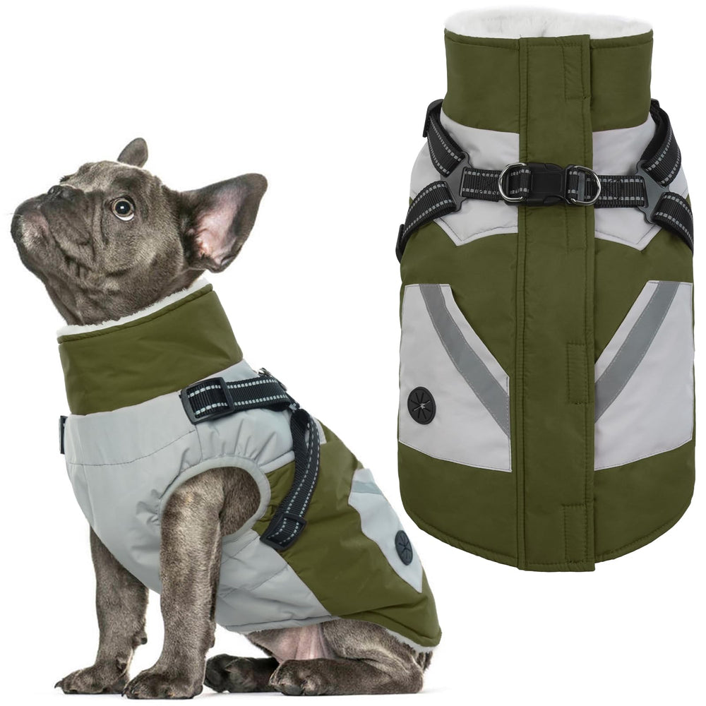 IECOii dog winter coat waterproof green medium front view for cold-weather protection