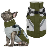 IECOii dog winter coat waterproof green medium front view for cold-weather protection
