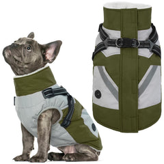 IECOii dog winter coat waterproof green medium front view for cold-weather protection