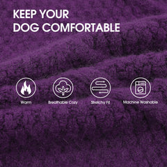 IECOii easy-pull-on dog sweater with stretchy neckline for quick dressing
