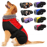 IECOii extra warm dog coat front view for cold days