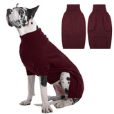 IECOii Great Dane Sweater front view in burgundy provides extra warmth for winter walks.