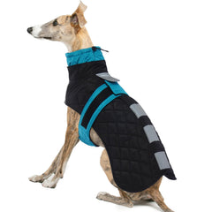 IECOii Greyhound coat front view in Blue-L shows a snug fit for large breeds.