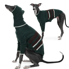 IECOii Italian Greyhound Sweater front view in green shows tailored slim-fit warmth