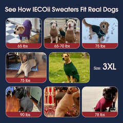 IECOii XXXXL dog sweater green pullover on large dog demonstrates easy on/off