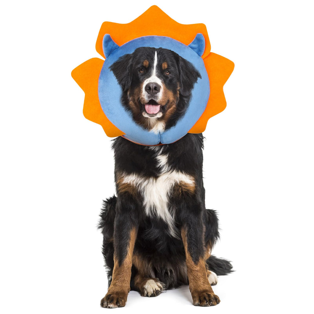 IEUUMLER inflatable recovery dog collar in blue—soft cushion and protective comfort