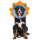 IEUUMLER inflatable recovery dog collar in blue—soft cushion and protective comfort