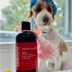 iGroom 50-to-1 dog shampoo foamy lather enriching coat during bath