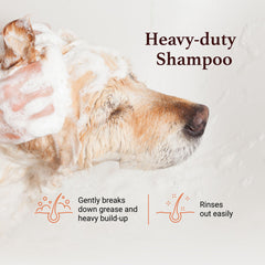 Dog coat after wash shows soft, luxurious finish with iGroom Squeaky Clean.