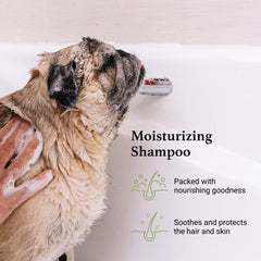 iGroom shampoo label shows sulfate-free and paraben-free ingredients