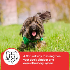iHeartDogs dandelion root and nettle-leaf herbs image suggesting soothing bladder comfort.