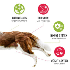 iHeartDogs grass-fed Texas beef packaging highlighting premium protein
