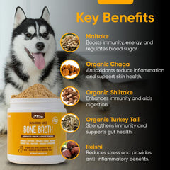 iHeartDogs glucosamine-chondroitin-hyaluronic-acid sample for joint health.
