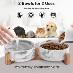 Ihoming small cat bowls 5.1-inch diameter for compact meals.