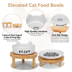 IKiKiCubee pet feeding station helps indoor cats and kittens eat with comfort.