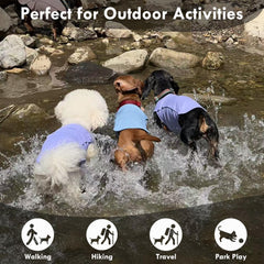 IKIPUKO temperature-regulation dog shirt helps prevent overheating on hikes.