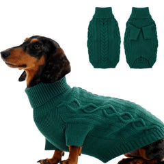IKIPUKO PeacockGreen knit dog sweater on a dog offering cozy outdoor warmth.