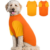 IKIPUKO dog T-shirt 3XL orange front view promotes breathable comfort during walks.