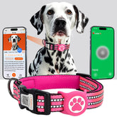 ilFindYou AirTag dog collar rose red side view highlights reflective safety for night walks.
