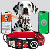 ilFindYou AirTag dog collar waterproof close-up showing rugged protection for water-loving small dogs