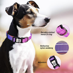 ILFINDYOU digital pet profile enables fast emergency information access.