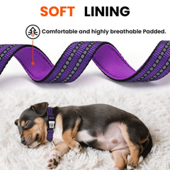 ilFindYou reflective strips illuminate collar at night for visibility