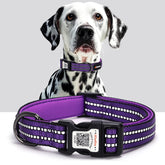 ilFindYou reflective collar purple small size for safer night walks