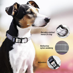 ILFINDYOU soft nylon XS collar designed for small dogs.
