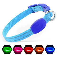 Collar Illumifun con luz azul para perro pequeño y mayor visibilidad.