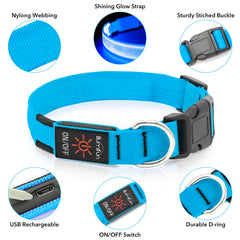Illumifun LED dog collar blue small modes closeup displays quick, slow, and steady lighting