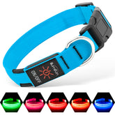 Illumifun LED dog collar blue small packshot highlights high visibility for safer night walks