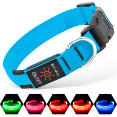 Illumifun LED dog collar blue small packshot highlights high visibility for safer night walks