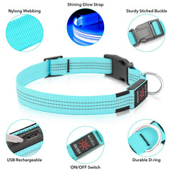 Illumifun LED dog collar with USB recharge cable included for uninterrupted outdoor time