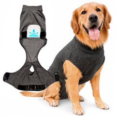iLVYA Dog Recovery Suit generous-fit shows roomy coverage for broader-chested dogs during post-surgery healing